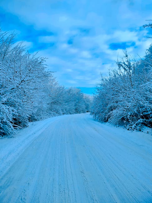 Pexels Photo 35686864 - Digital Shop Now Oneplus Nord 5g