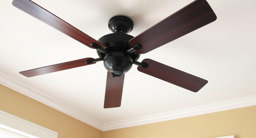 Beat the Heat Top Energy Efficient Ceiling Fans for Summer