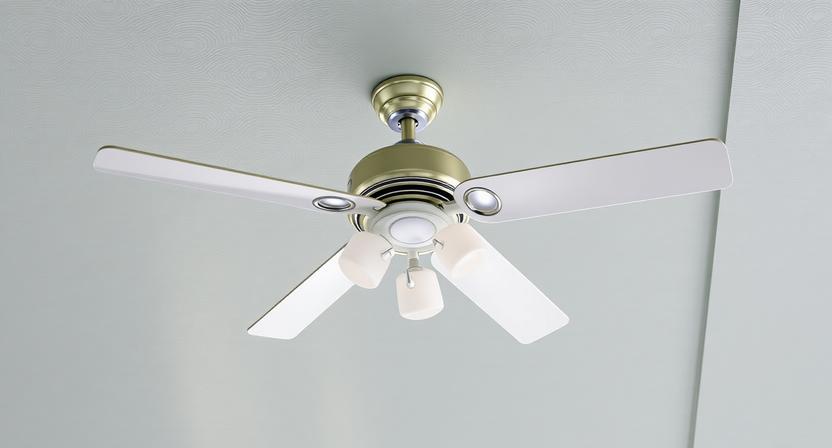 Experience Ultimate Summer Cool with High-speed Fans