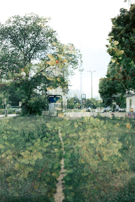 Smart Features & 55-inch Dolby Vision: the Best of Both Worlds