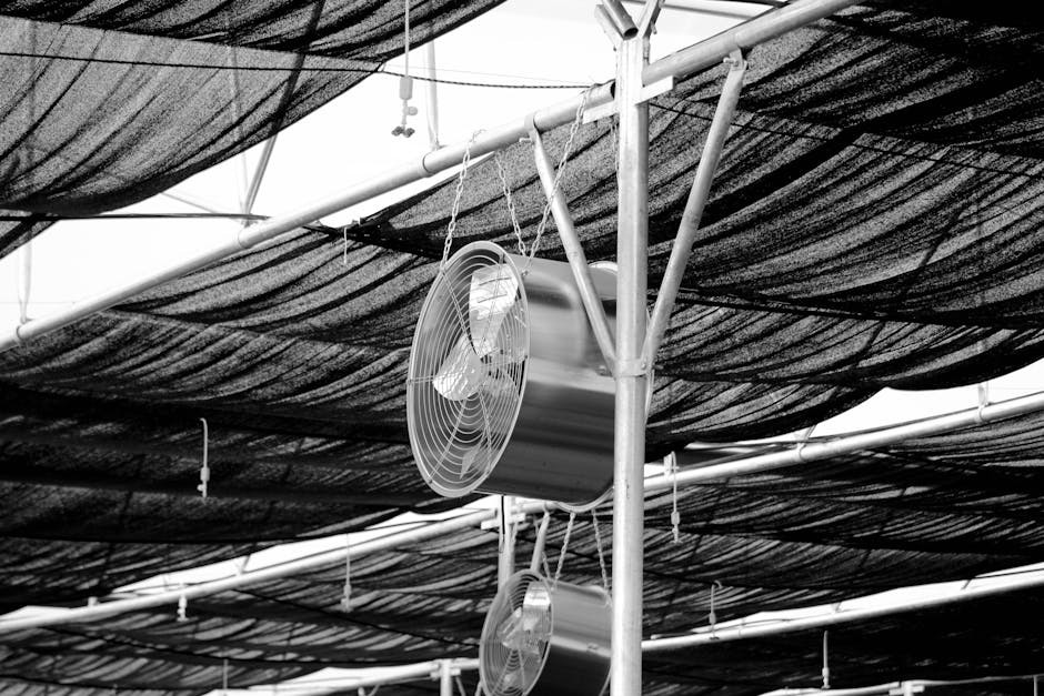 Beat the Heat: Energy-efficient Ceiling Fans for Summer