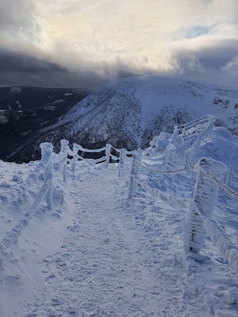 Understanding Cap: a Comprehensive Guide for Investors