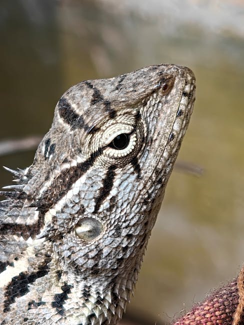 Oneplus Buds Anc: Your Ultimate Guide to Immersive Sound