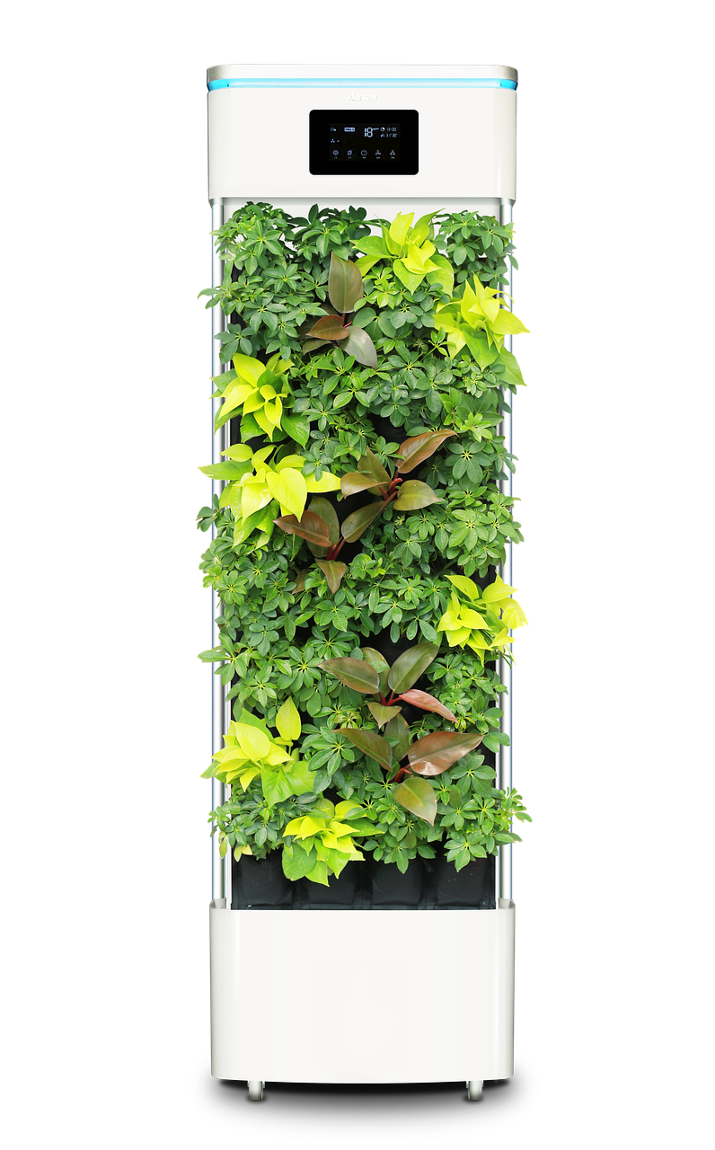 Chilled Water Purifier: Your Ultimate Hydration Solution