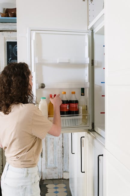 Troubleshooting Common Double Door Refrigerator Problems