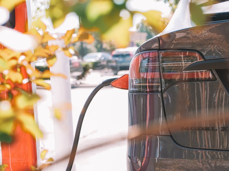 Smart Plug 101: Your Guide to a Smarter Home