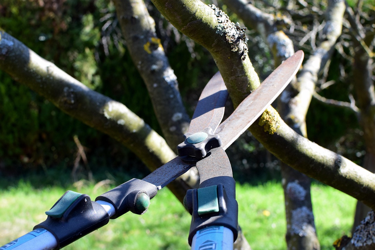 The Benefits of Using a Dedicated Trimmer