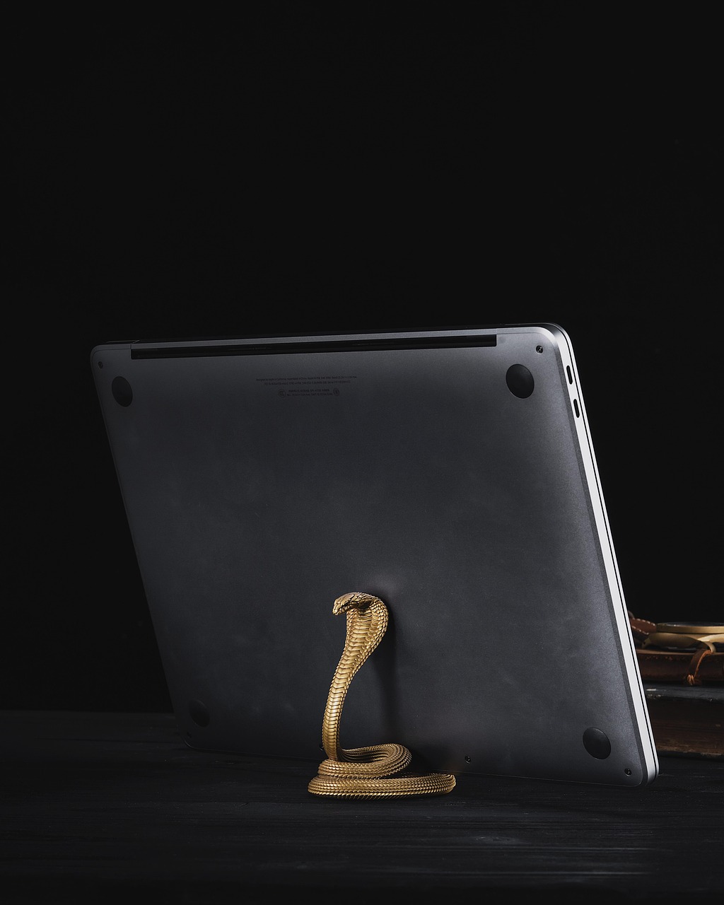 Choosing the Right Phone Holder for Your Specific Device