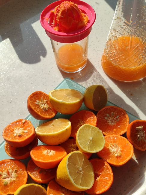 Healthy & Delicious: Unlock Summer Flavors with a Cold Press Juicer