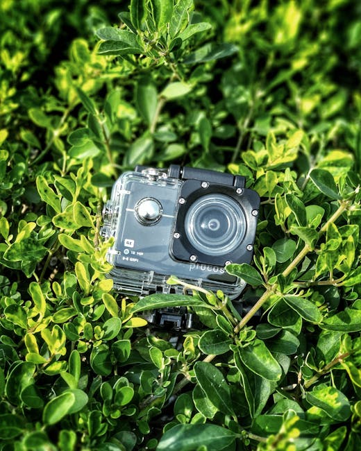 Best 4K Waterproof Action Cameras for Ultimate Adventures