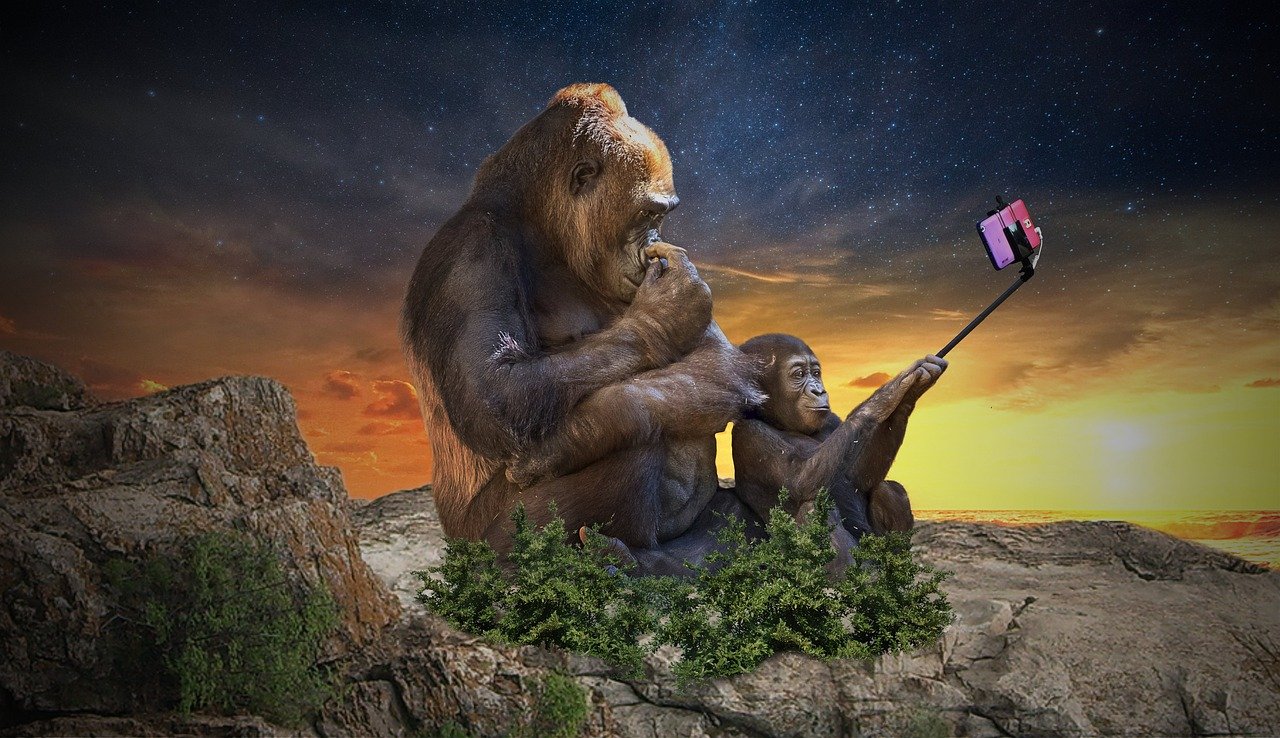 The Ultimate Selfie Stick Guide: Find Your Perfect Shot