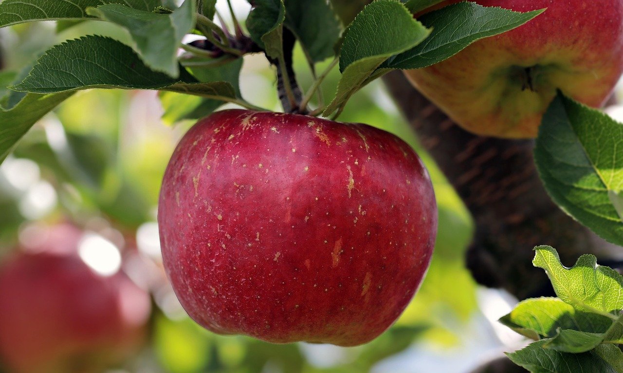 The Original Apple Watch Price: A Timeless Question