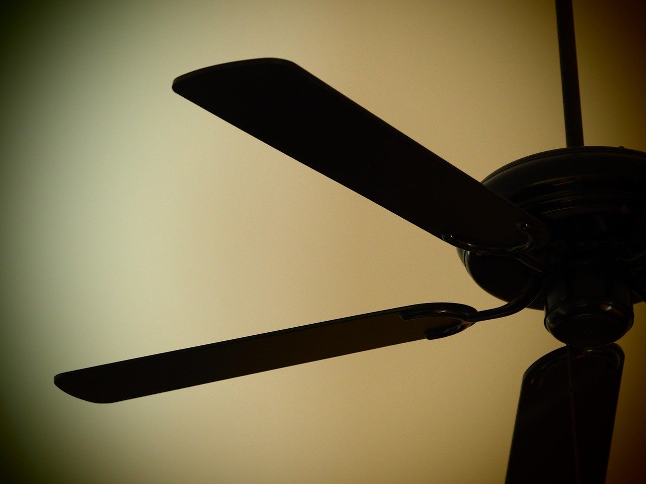 The Ultimate Guide to Energy Efficient Ceiling Fans for Any Room