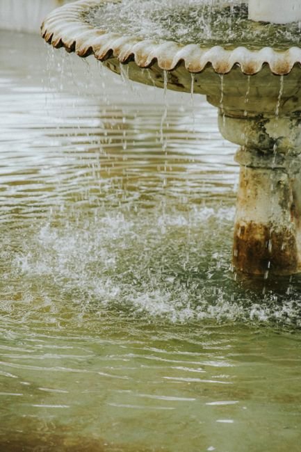 Upgrade Your Hydration: Water Purifiers That Chill and Purify