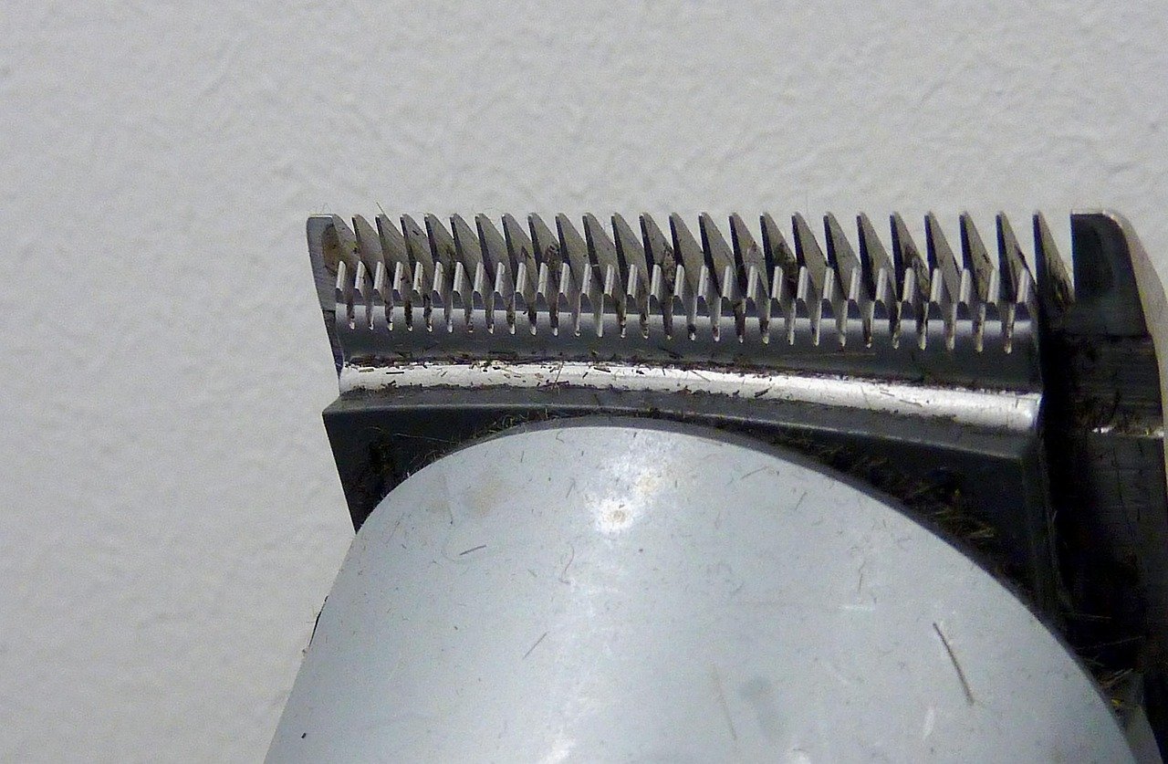 The Evolution of Trimmer Technology: What's New?