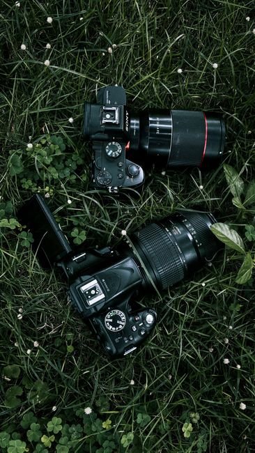 Finding the Perfect DSLR: Beginner Models Under ₹50,000