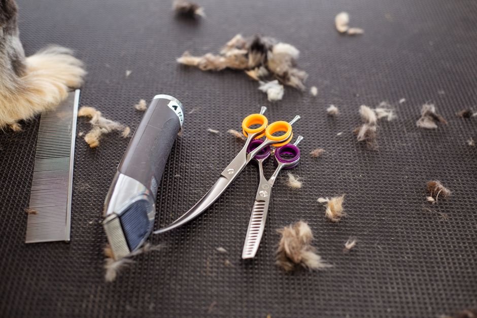 The Ultimate Guide to Trimmer Maintenance and Cleaning