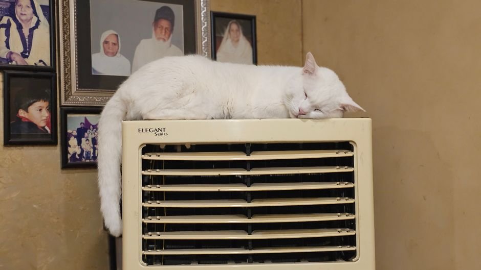 Benefits of Using an Air Cooler at Home