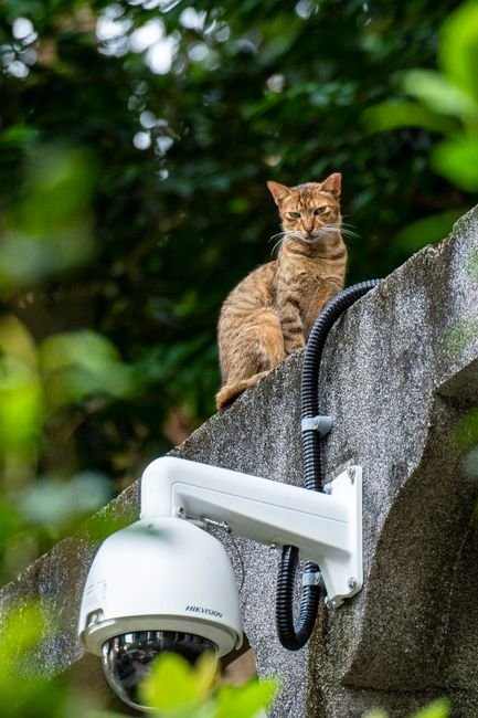 CCTV Camera Systems: Your Ultimate Guide to Home Security